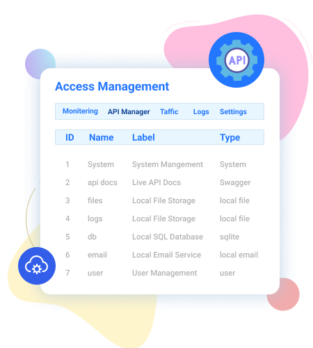 api access management